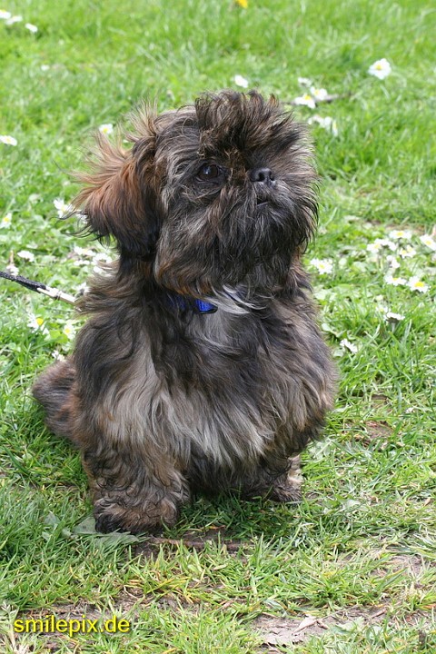 Goettingen 26.4.08 (18).jpg